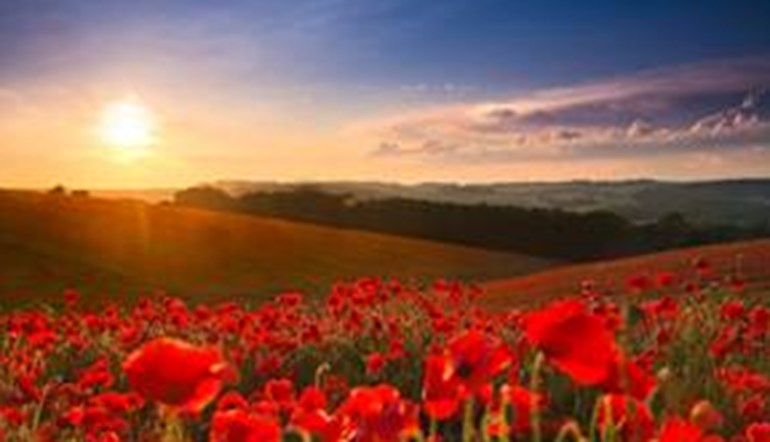 Festival of Remembrance