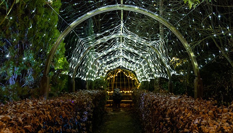 Festive Gardens 2025 SEN Night