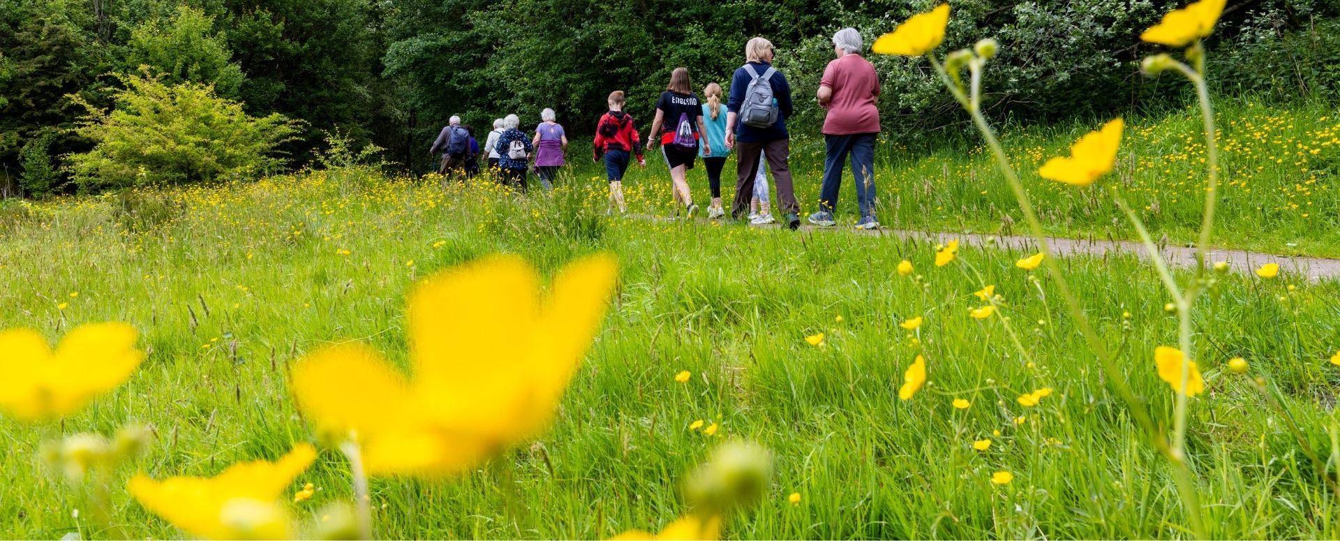 Telford Family Hubs – Walk in the Park