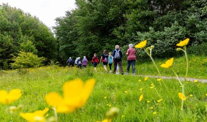 Telford Family Hubs – Walk in the Park